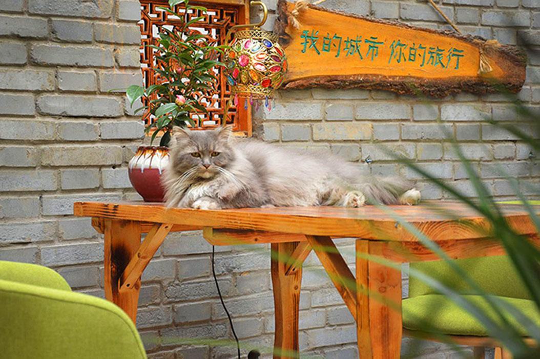 Luoyang Longmen Youth Hostel Exterior photo